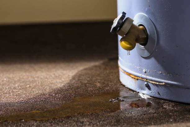 Best 24/7 water damage repair  in Finderne, NJ