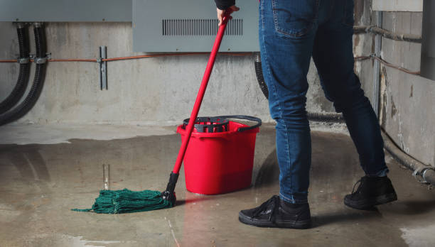 Best Commercial water damage restoration  in Finderne, NJ