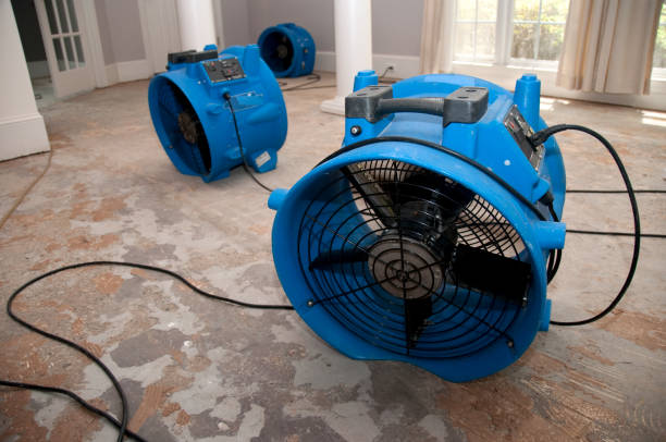 Best Water damage contractors near me  in Finderne, NJ