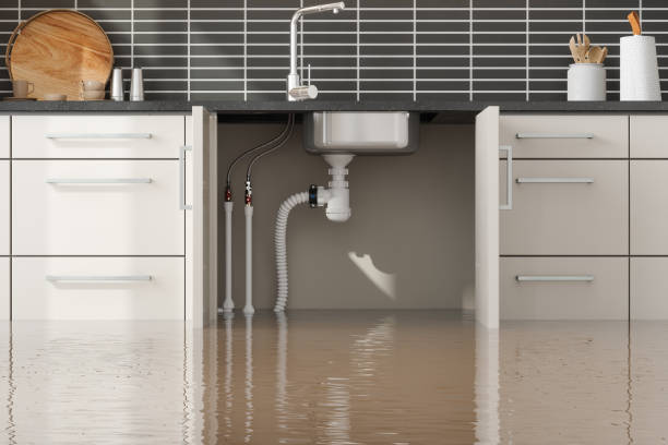 Best 24-hour water damage restoration  in Finderne, NJ